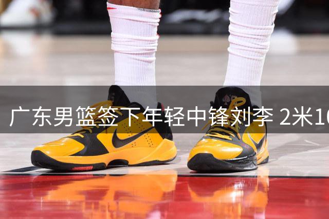 广东男篮签下年轻中锋刘李 2米10小将补强内线