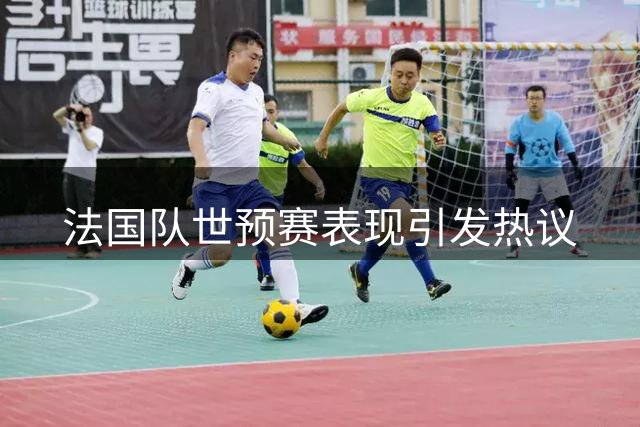 法国队世预赛表现引发热议